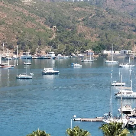 Duygu 2*